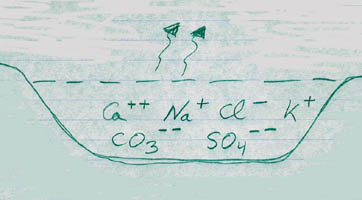 marais salants