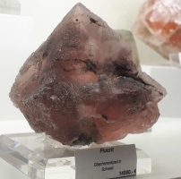 Fluorite Göshenealpe-Uri-Suisse (1400€)