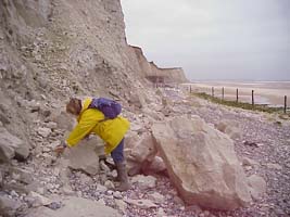 -Au pied de la falaise...quelques blocs récemment tombés... (18-05-2002)