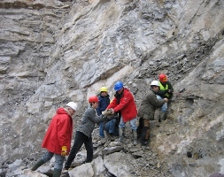 -calcite search (19-03-2011)