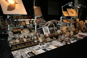 -one of the rare fossil stands (12-09-2009)