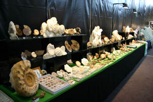 -A few stands... (10-09-2005)