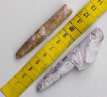 Belemnite-Crétacé-(coll MJX)