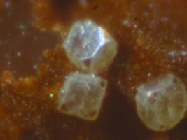 graulichite -(Ce)-photo & coll JDV