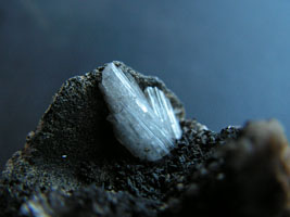 hopeite-(col IRSNB , photo RLS)