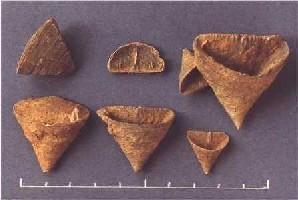 Calceola sandalina-Couvinien/Eifelien-corail solitaire en forme de babouche typique (photo et coll RDK)