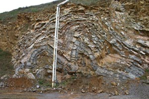 -folds (21-10-2006)