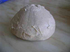Echinocorys gibbus-Campanien-(photo & coll JGT)