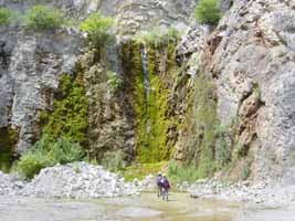 -The spring at the bottom of the quarry(N-W) (19-06-2004)