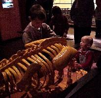 -no age for digging (07-12-2002)