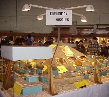 -General view of the exhibition (03-2002)