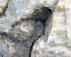 -The block had holes like a