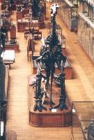 GALERIES D'ANATOMIE COMPAREE et de PALEONTOLOGIE