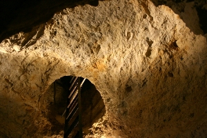 -échelle (02-08-2009)