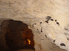 -couche de silex (03-06-2007)