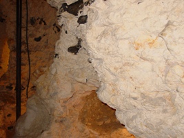 -couche de silex (03-06-2007)
