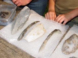 -flint stones - coll MJX (03-06-2007)