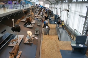-Evolution Gallery (08-05-2009)
