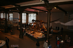 -Janlet room (04-01-2008)