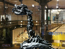 Iguanodon bernissartensis-Crétacé Inférieur - Wealdien-(photo GLR - coll Musée Royal des Sciences Naturelles de Belgique à Bruxelles)